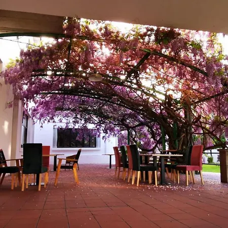 Albergue Vina Femita