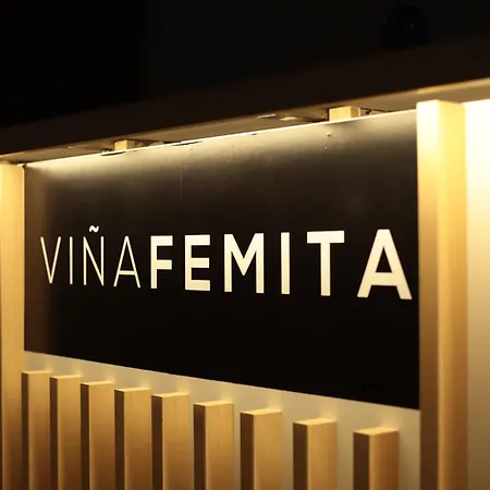Vina Femita *