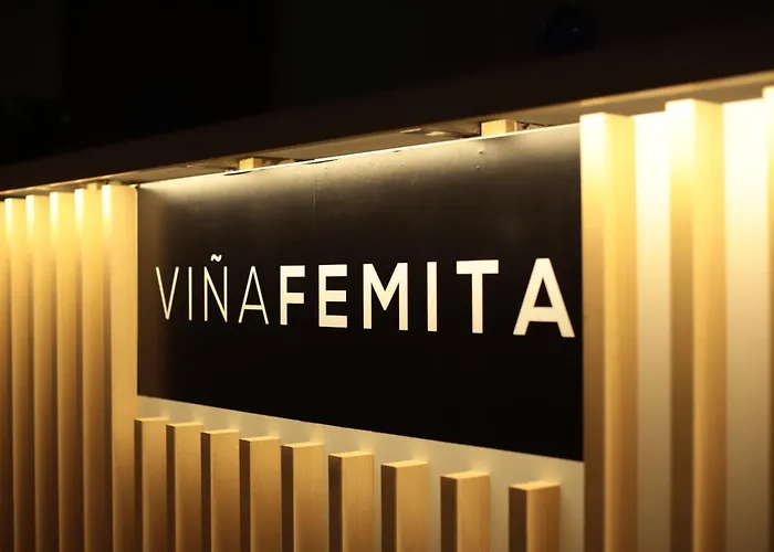 Vina Femita *