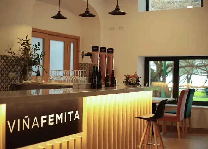 Vina Femita 비야프랑카델비에르소